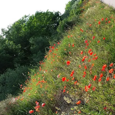 Bed & Breakfast La Fattoria Pastrengo